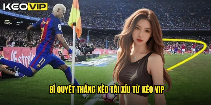 Bí quyết thắng kèo tài xỉu từ Kèo Vip