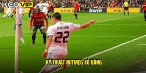 kỹ thuật nutmeg xỏ háng