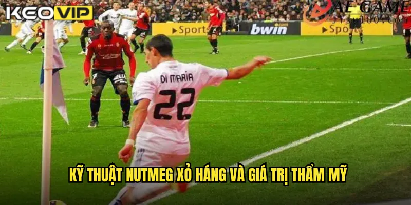 Kỹ thuật Nutmeg xỏ háng và giá trị thẩm mỹ