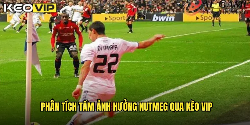 Phân tích tầm ảnh hưởng Nutmeg qua Kèo Vip